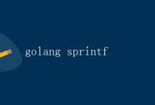 Golang中的sprintf函数详解|极客笔记
