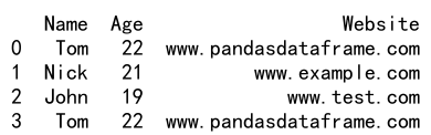 pandas dataframe loc 或运算符