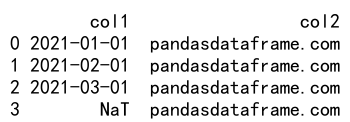 如何在Pandas中使用astype方法处理含有NaN值的数据类型转换