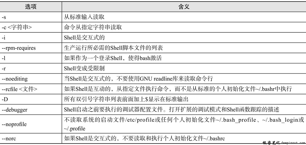 bash命令选项含义