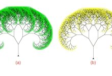 使用Python Turtle绘制Y形分形树|极客教程