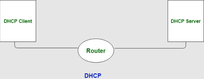 DNS和DHCP的区别