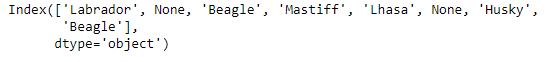 Python Pandas Index.isna()