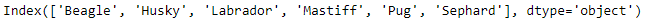 Python Pandas Index.sort_values()