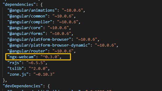 如何使用ngx-webcam在Angular 10中启用网络摄像头？