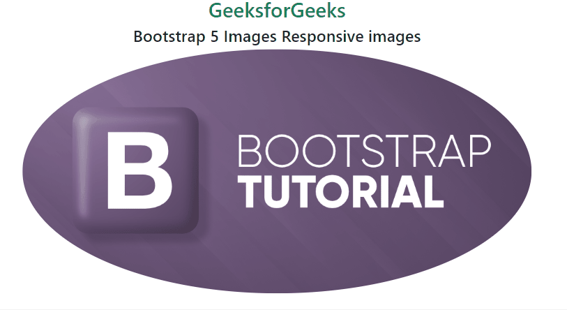 Bootstrap 5图像 响应式图像