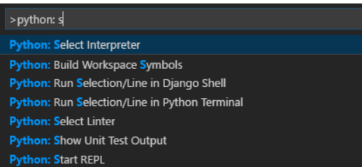 如何在 Visual Studio Code 中设置 Python