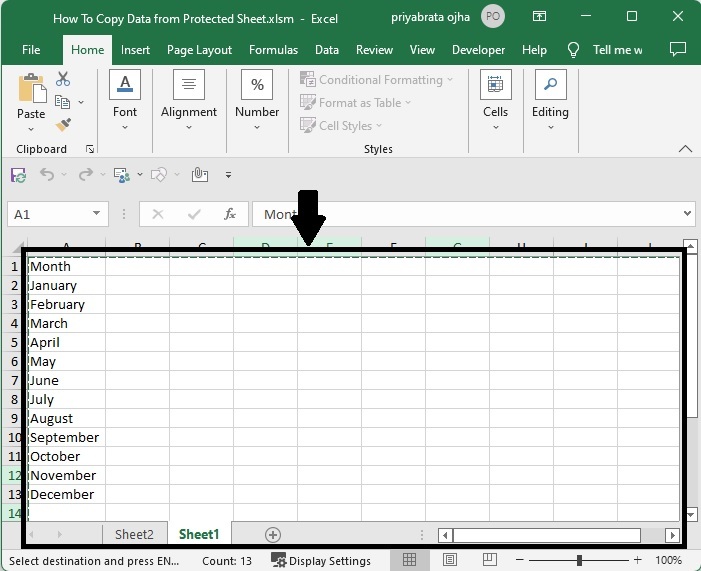 如何从Excel中受保护的工作表中复制数据？