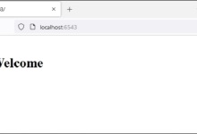 Python Pyramid 安全性|极客教程