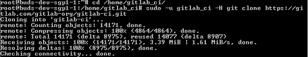 GitLab CI - 安装协调员
