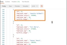 Postman - PUT请求|极客教程