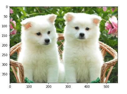 如何使用scikit-learn在Python中查看图像的像素值？