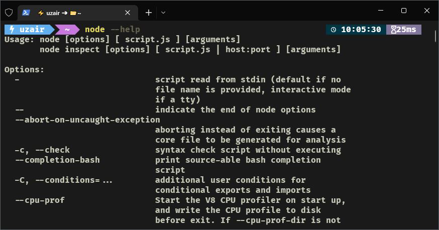 Node 二进制文件的命令行标志