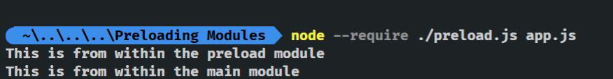 Node 二进制文件的命令行标志