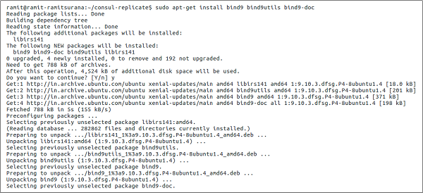 Consul 引导和DNS