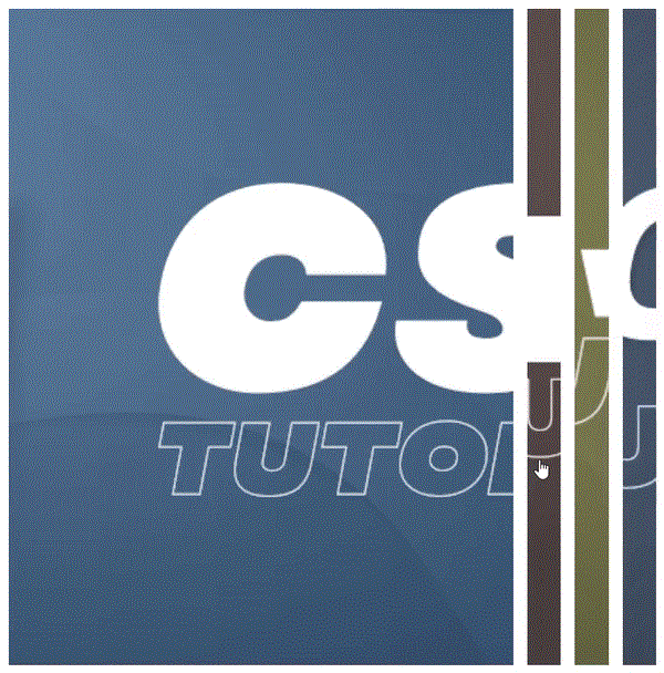 如何使用HTML、CSS和Javascript创建可扩展卡片