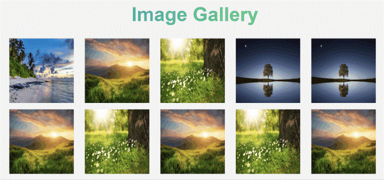 如何使用HTML CSS和JavaScript制作图像库 如何使用HTML CSS和JavaScript制作图像库