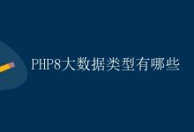 PHP8大数据类型有哪些|极客教程