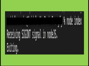 Node.js 如何杀死所有进程