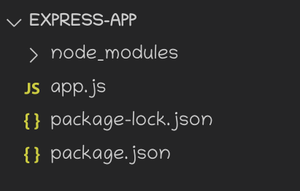 Express.js 如何构建我的应用程序