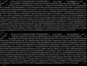 Node.js 解释护照