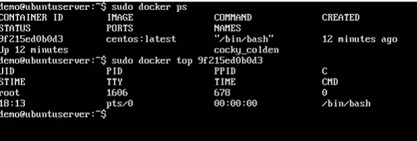Docker 使用容器