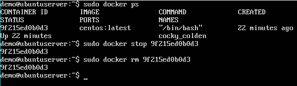 Docker 使用容器