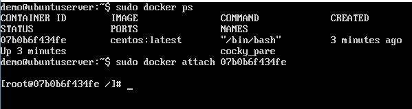 Docker 使用容器