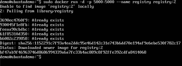 Docker 私有注册表