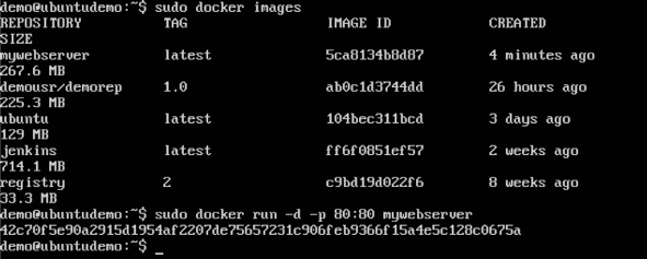 Docker 构建 Web 服务器 Docker 文件