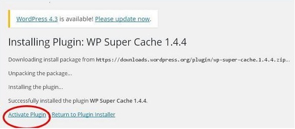 WordPress 插件设置