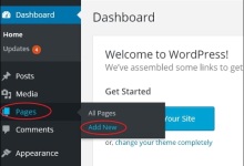 WordPress 发布页面|极客教程