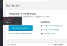 WordPress 编辑页面|极客教程