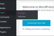 WordPress 删除页面|极客教程