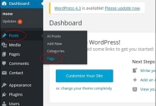 WordPress 添加标签|极客教程