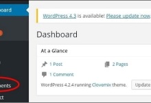 WordPress 编辑评论|极客教程