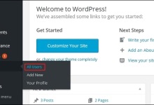WordPress 编辑用户|极客教程