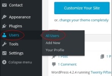 WordPress 删除用户|极客教程