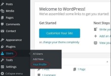 WordPress 个人资料|极客教程