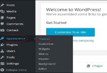 WordPress 主题管理|极客教程