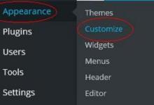 WordPress 自定义主题|极客教程