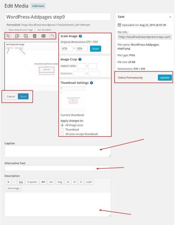 WordPress 背景