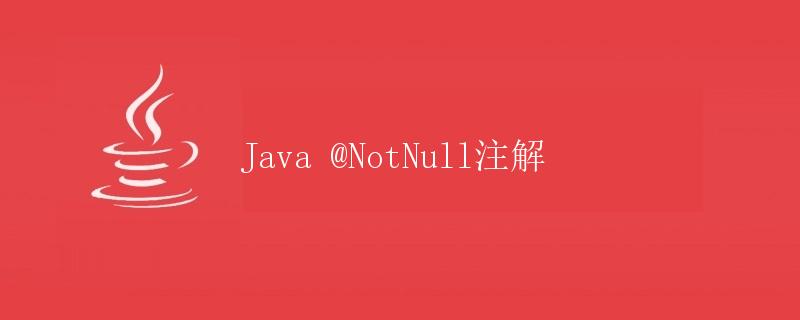 Java @NotNull注解