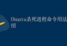 Ubuntu杀死进程命令用法介绍|极客教程