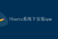 Ubuntu系统下安装npm|极客教程