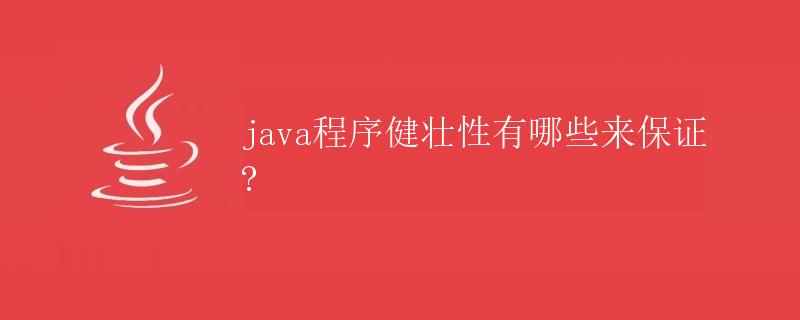 Java程序健壮性的保证