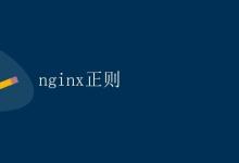Nginx正则|极客教程