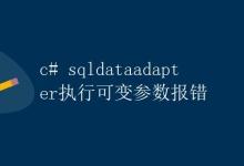 CSqlDataAdapter执行可变参数报错|极客教程