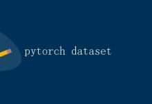 Pytorch Dataset|极客教程