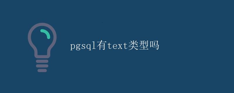 pgsql有text类型吗